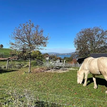Διαμέρισμα Cloud Garden Maisonette Spiez