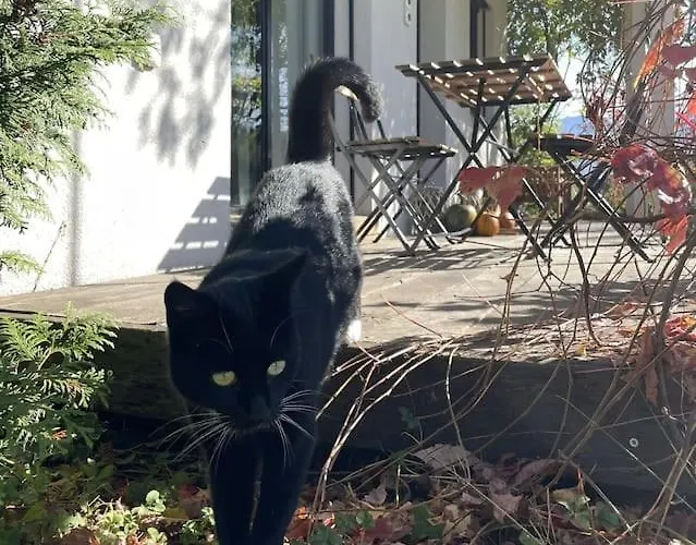 Cloud Garden Maisonette アパート シュピーツ