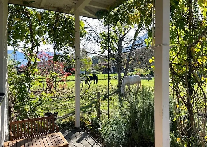 Lejlighed Cloud Garden Maisonette Spiez