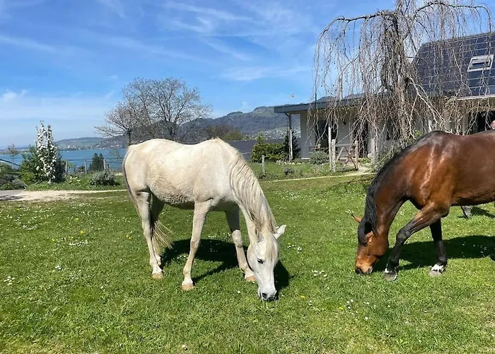 アパート Cloud Garden Maisonette