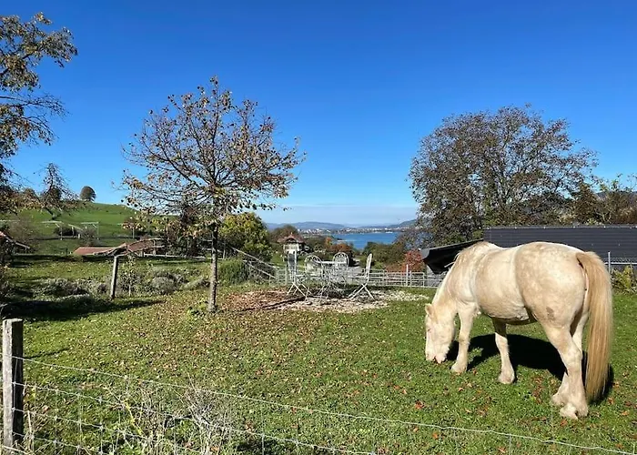 Διαμέρισμα Cloud Garden Maisonette Spiez
