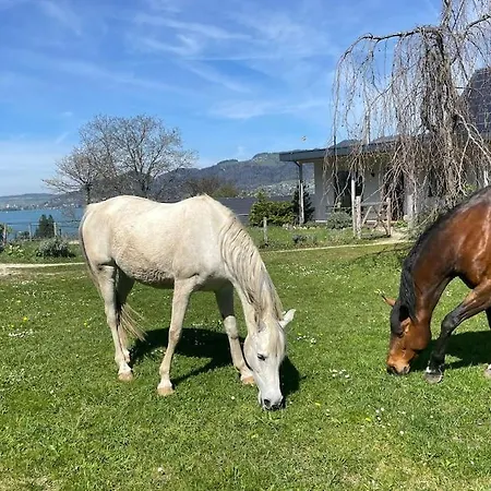 Appartamento Cloud Garden Maisonette
