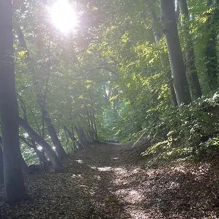 Cloud Garden Maisonette Spiez